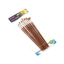 9pcs Professional Paint Brushes Set