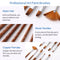 9pcs Professional Paint Brushes Set