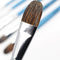 6pcs Artist Paint Brushes Set