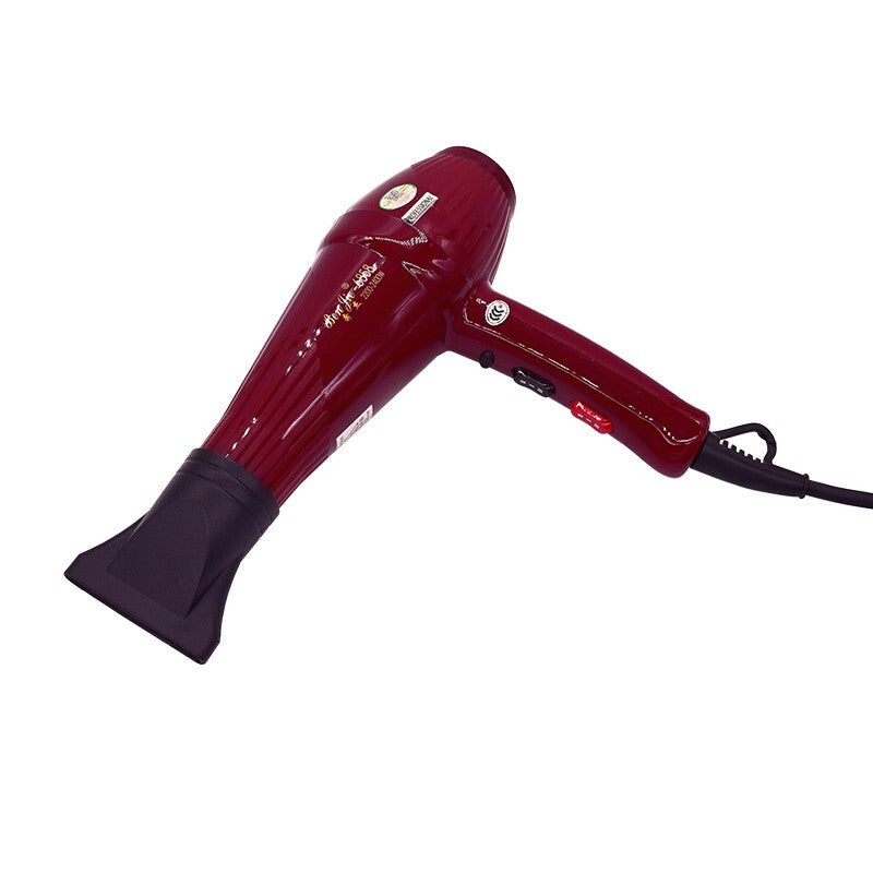 Premium High Power Hair Dryer - Red