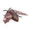 Remote Control Moth Toys Simulated Insect Toys Infrared Sensing Portable RC Toy