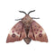 Remote Control Moth Toys Simulated Insect Toys Infrared Sensing Portable RC Toy