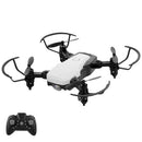 QI ZHI TOYS S15 2.4G RC Training Quadcopter