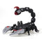 FEI LUN FK503A Infrared Remote Control Scorpion Smoke Effect Spray Water Scorpion RC Toy for Kids