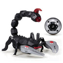 FEI LUN FK503A Infrared Remote Control Scorpion Smoke Effect Spray Water Scorpion RC Toy for Kids