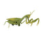 Remote Control Mantis Simulated Insect Toys Infrared Sensing Portable RC Toy for Kids Gift