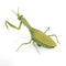 Remote Control Mantis Simulated Insect Toys Infrared Sensing Portable RC Toy for Kids Gift