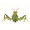 Remote Control Mantis Simulated Insect Toys Infrared Sensing Portable RC Toy for Kids Gift