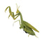 Remote Control Mantis Simulated Insect Toys Infrared Sensing Portable RC Toy for Kids Gift