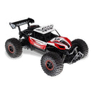 RC Car 1/16 2.4Ghz Remote Control Car Off Road RC Trucks