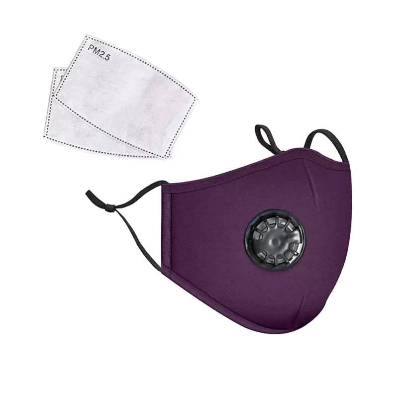 Reusable Premium Anti Dust Mask Filter - Purple