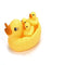 Rubber Race Squeaky Ducks Bath Toy - Yellow