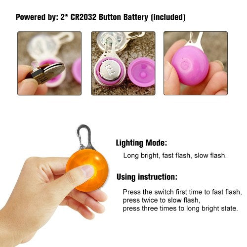 Colorful Clip-on Safety Night Light/ Pet Collar Keychain Light