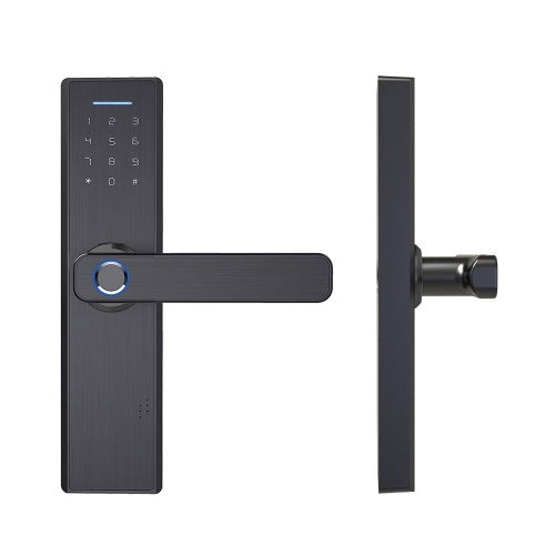 Electronic WiFi APP Password Door Lock