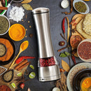 Stainless Steel Salt and Pepper Grinder- Silver