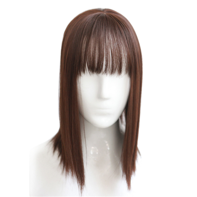 Synthetic Hair Clip Straight Hair - Chestnut