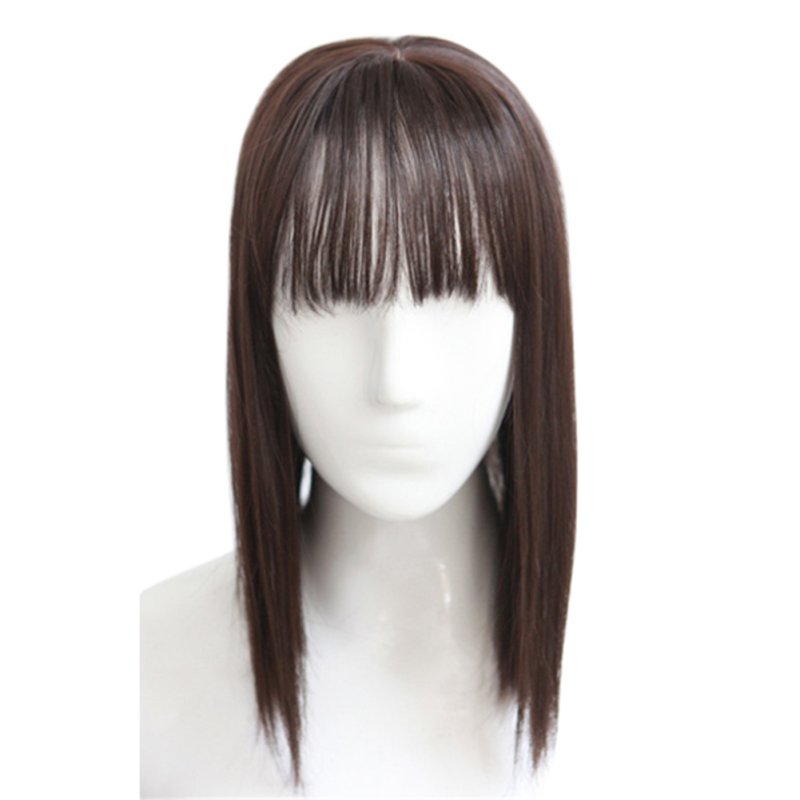 Synthetic Hair Clip Straight Hair - Dark Brown