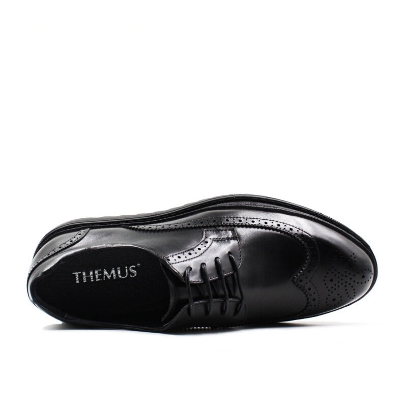 THEMUS H3205A Oxford Shoes - Black