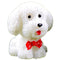 Teddy Dog Cartoon Figurine - White