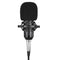 BM800 Condenser Microphone