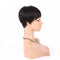 Women Pixie Cut Lace Human Hair Wig - Black