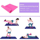 4pcs Yoga Equipment Set