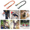 Climbing Cord Tree Rock Climbing Gear Rappelling Cord Climbing Gear