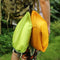 3PCS Waterproof Camping Organizer Bag