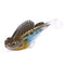 7cm 14g Fishing Lure Lead Head