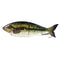 7 Inch 3oz Jointed Fishing Lure