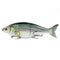 7 Inch 3oz Jointed Fishing Lure