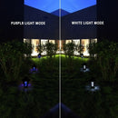 Outdoor Solar Powered Light with 2 Light Modes IP65 Water Resistant Electric Lamp Trapping Lantern