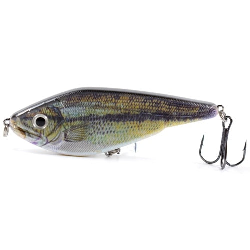 3.5in / 0.9oz Bionic Fishing Lure Hard