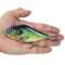 3.9in / 1.6oz Bionic Fishing Lure Hard