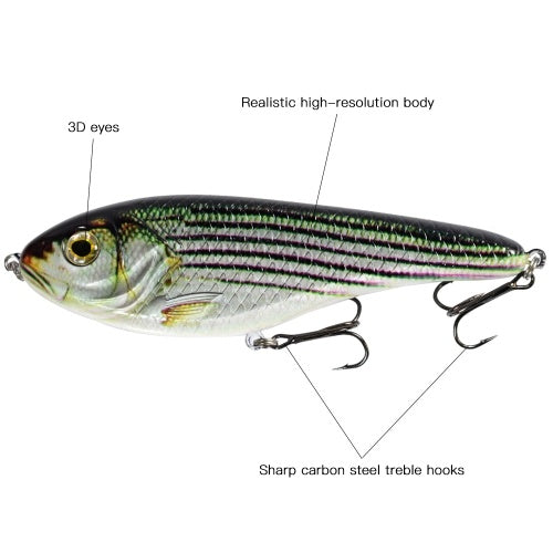 5.9in / 2.9oz Bionic Fishing Lure Hard