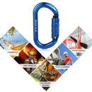 25KN Professional Climbing Carabiner Screw Locking Gate Carabiner Heavy Duty O-shape Climbing Buckle Lightweight Hammock Locking Clip for Climbing Rappelling Canyoning Hammock Climbing Gear Quick Clip Equipment