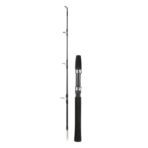 1m/0.8m 2 Sections Solid Fishing Rod Ice Fishing Rod Boat Rod Pole Fishing Tackle Fishing Accessory