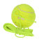 Natural Rubber Synthetic Wool Fiber Tennis Ball Dog Training Tennis Ball With String