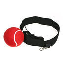 Boxing Reflex Fight Ball