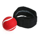 Boxing Reflex Fight Ball