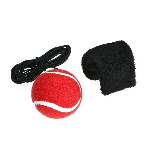 Boxing Reflex Fight Ball