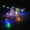 BZ234 2M 20 Bulbs LED Clear Battery Holder Indoor Outdoor Decoration Festoon