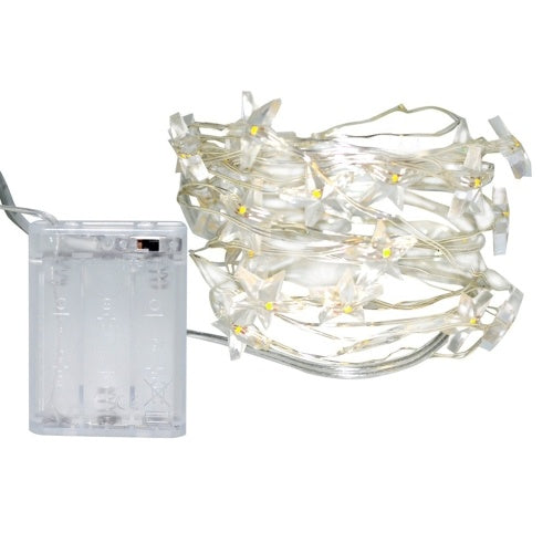 BZ234 2M 20 Bulbs LED Clear Battery Holder Indoor Outdoor Decoration Festoon